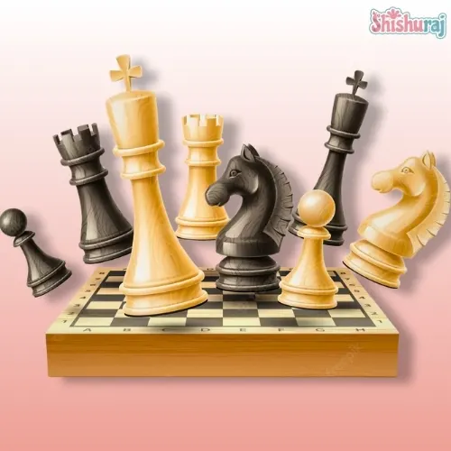 High-Class Magnetic Chess Set