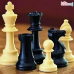 High-Class Magnetic Chess Set - Image 4