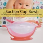 Apple Bear Baby Bowl Set - Image 5