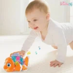 Transparent Gear Fish Toy - Image 5