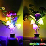 LED Mushroom Night Wall Lamp - Image 3