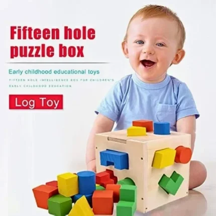 15 Hole Shape Intelligence Box