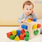 15 Hole Shape Intelligence Box Price in Bangladesh | Educational Shape Sorting Puzzle Toy for Kids BD - Image 4