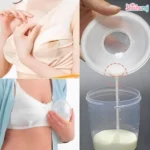 Momeasy Breast Milk Collection Shells Price BD |  2pcs | Reusable Milk Collector | ShishuRaj - Image 2